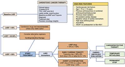 Severe Cardiac Toxicity Induced by Cancer Therapies Requiring Intensive Care Unit Admission